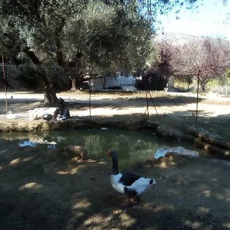 بيت للعطل Farm House